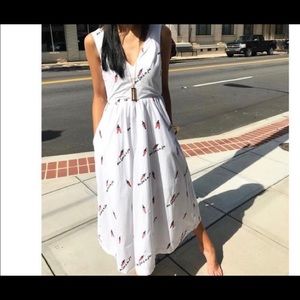 Tea Length Housewife Dress